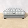 McRoskey Modern Cole Valley Mattress