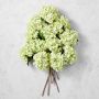 Jeff Leatham x Williams Sonoma Real Touch Faux Light Green Hydrangea Stems, Set of 12