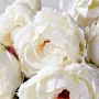 Jeff Leatham x Williams Sonoma Real Touch Faux White Peony Stems, Set of 12