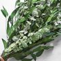 Dried Green Eucalyptus Bunch
