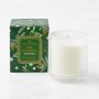 Williams Sonoma Seasonal Home Scents Candle, Iced Evergreen