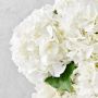 Jeff Leatham Real Touch Faux White Hydrangea Stems, Set of 12