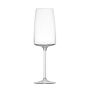 Schott Zwiesel Sensa Champagne Flutes, Set of 6