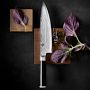 Shun Classic Chef's Knife