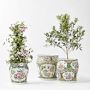 Famille Rose Planter Collection