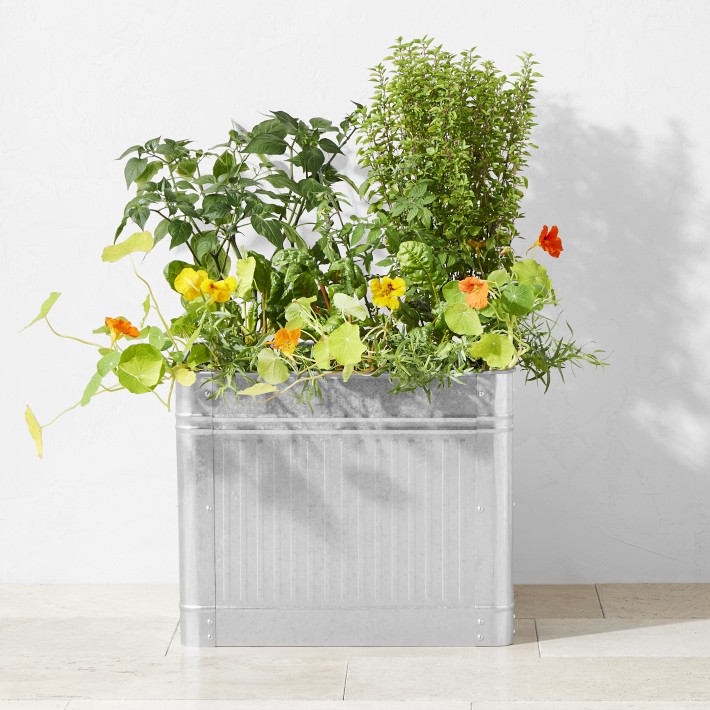 Vintage Galvanized Raised Planter, 22" x 18"