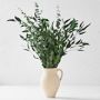 Green Eucalyptus Bunch