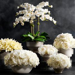 Jeff Leatham x Williams Sonoma Real Touch Faux White Peonies &amp; Hydrangeas in Pot