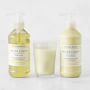 Williams Sonoma Meyer Lemon Guest Set