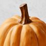 Outdoor Pre-Lit Faux Pumpkins