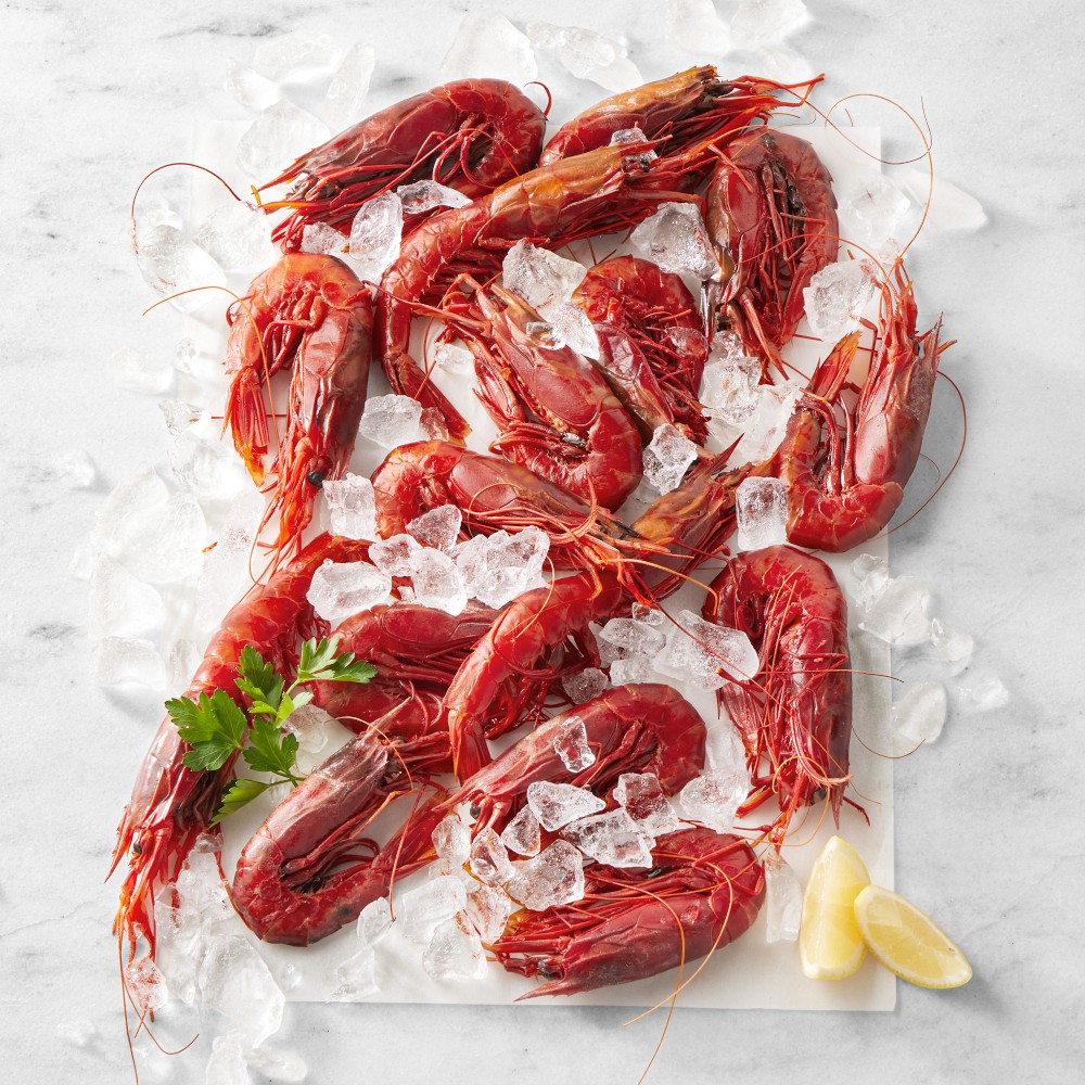 Red Carabinero Prawn Box