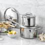 All-Clad D5&#174; Stainless-Steel Saucepan