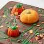 Pumpkin Patch Bark