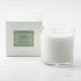 Williams Sonoma White Gardenia Candle, Large