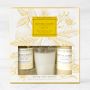 Williams-Sonoma Meyer Lemon Guest Set