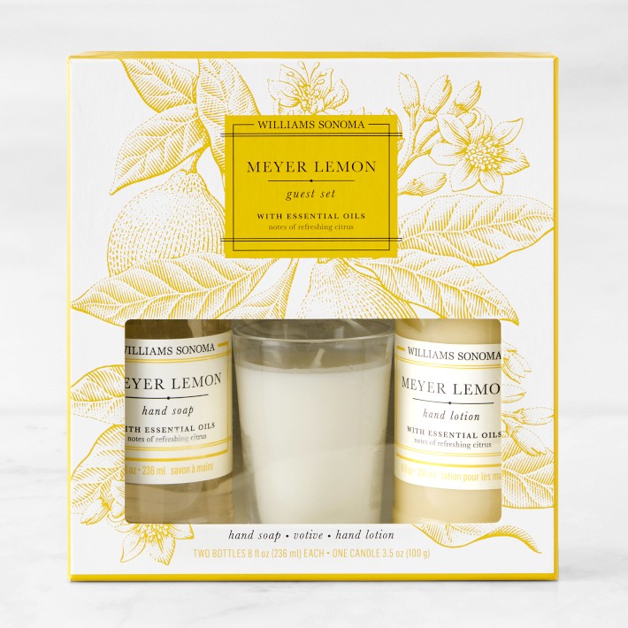 Williams-Sonoma Meyer Lemon Guest Set