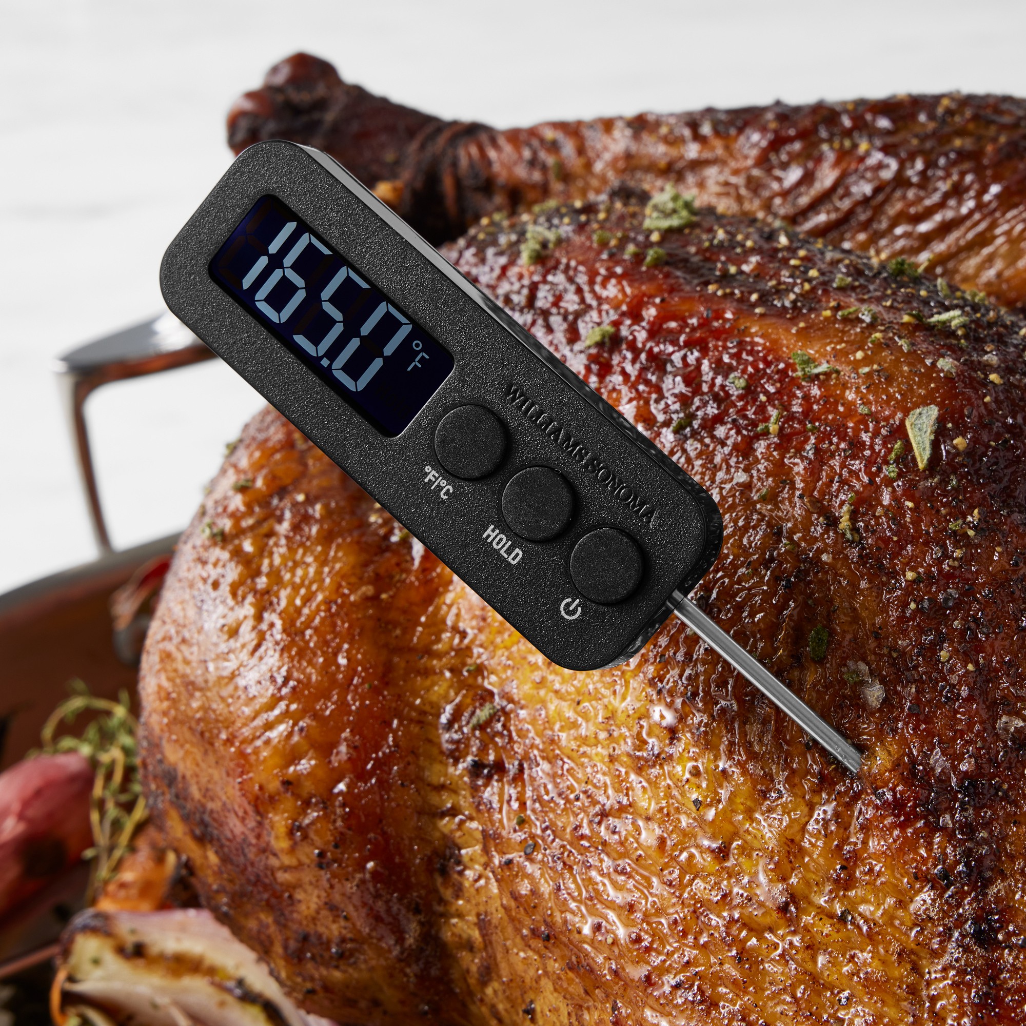 Williams Sonoma Digital Pen Thermometer