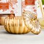 Williams Sonoma Pumpkin Spice Figural Candle