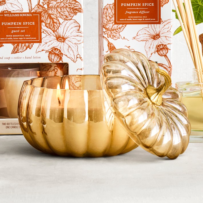 Williams Sonoma Pumpkin Spice Figural Candle