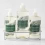 Williams Sonoma Winter Forest 4-piece Hand Soap, Hand Lotion, Dish Soap & Candle Kitchen Set