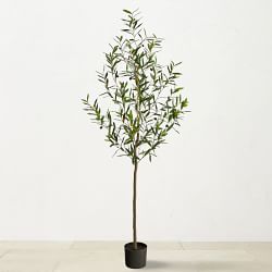 Faux Indoor Olive Tree, 72"