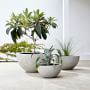 Bradford Planter