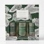 Williams Sonoma Winter Forest Kitchen Essentials Kit