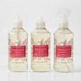 Williams Sonoma Winter Berry Kitchen Essentials Kit