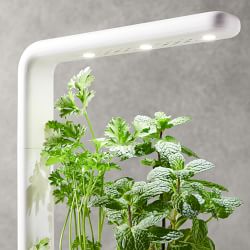 Click &amp; Grow Smart Garden System, 3 Pod, Grey