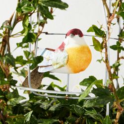 Spring Birdcage Circular Topiary