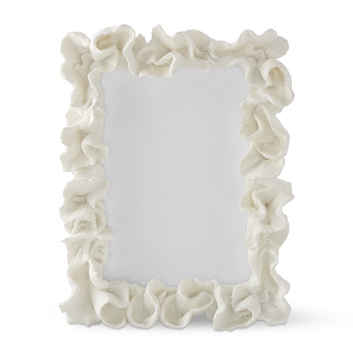 AERIN x Williams Sonoma Home Coral Frame