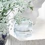 Faceted Glass Object