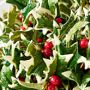 Faux Holly Berry Floral Arrangement in Porcelain Vase