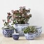 Blue &amp; White Ceramic Planter Collection