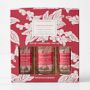 Williams Sonoma Winter Berry Kitchen Essentials Kit