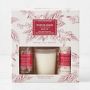 Williams Sonoma Winter Berry Guest Set