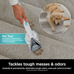 Shark&#174; CarpetXpert&#8482; with Stainstriker&#8482; Upright Deep Carpet Cleaner EX201