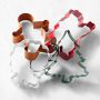Williams Sonoma Holiday Colored Cookie Cutters on Ring, Set of 4