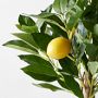 Limone Faux Lemon Topiary in Blue &amp; White Pot, 10&quot;