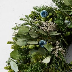 Winter Greens Live Wreath &amp; Garland
