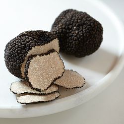 Black Summer Truffles