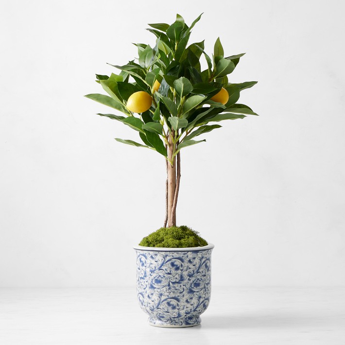 Limone Faux Lemon Topiary in Blue & White Pot, 10"