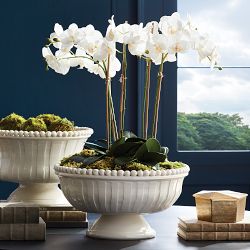 Coletta Decorative Footed Low Bowl