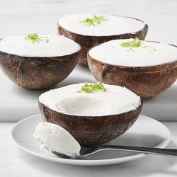 Coconut in a Shell Sorbet, Set of 4