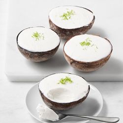 Coconut in a Shell Sorbet, Set of 4