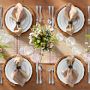 France Stripe Table Runner