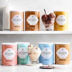 Williams Sonoma Ice Cream Starter, Chocolate Chip Cookie Dough