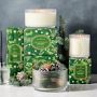 Williams Sonoma Seasonal Home Scents Iced Evergreen Diffuser