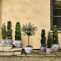Blue &amp; White Ceramic Planter, Small