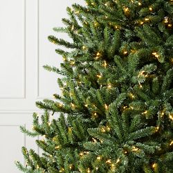 Balsam Hill Traditional Colorado Green Pre-Lit Spruce, 6.5'-9'